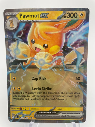 Pawmot ex 073/197 OBFen