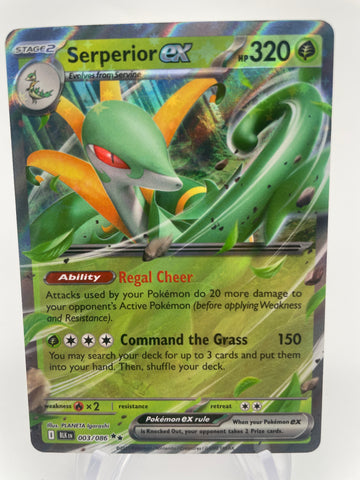 Serperior ex BLKen 003/086 Double Rare