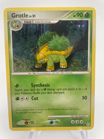 Grotle LV.21 49/130 DMG